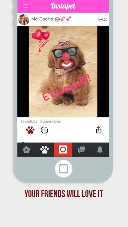 Instapet - Social Network for your Pet screenshot-4