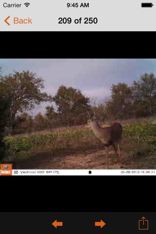 Bushnell Wireless Trophy Cam screenshot 2