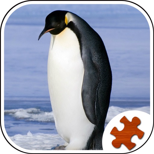 My Penguin Jigsaw Puzzle - Jigsaw Puzzle For Kids iOS App