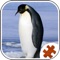 My Penguin Jigsaw Puzzle - Jigsaw Puzzle For Kids