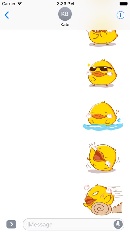 Fat Funny Duck