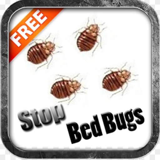 Stop Bed Bugs Tips for Bed Bugs by Kaushik Godhani