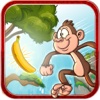 Monkey Splash - Help climb and collect the bananas