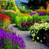 Colorful Secret Garden Wallpapers
