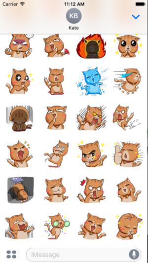 Brown Cat Funny(圖4)-速報App