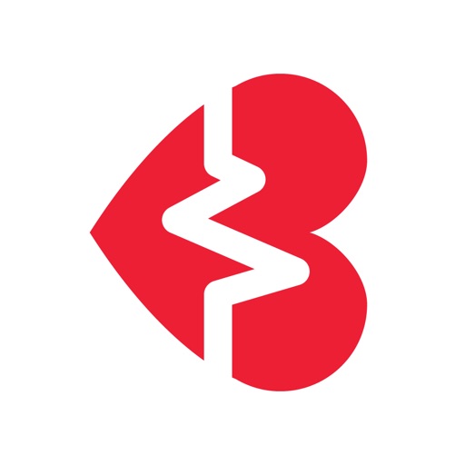 The BRAVE App icon