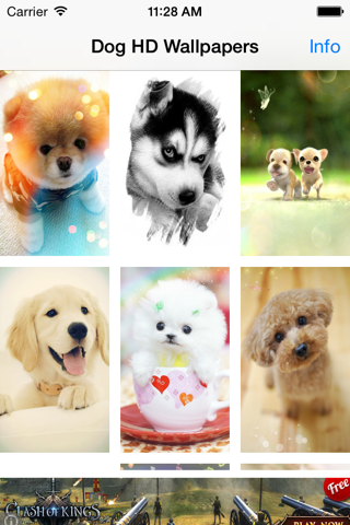 Dog Wallpapers (HD) - Cute Puppies Backgrounds screenshot 3