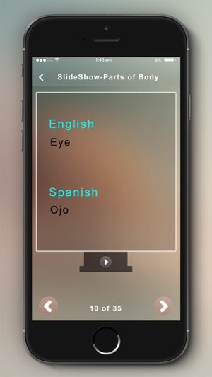 Learn Spanish- 24/7 FREE Language Learning(圖2)-速報App