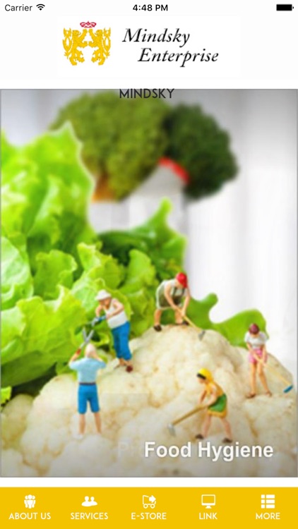 Mindsky screenshot-4