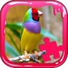 Learn Picture Bird Games Jigsaw Puzzles Version
