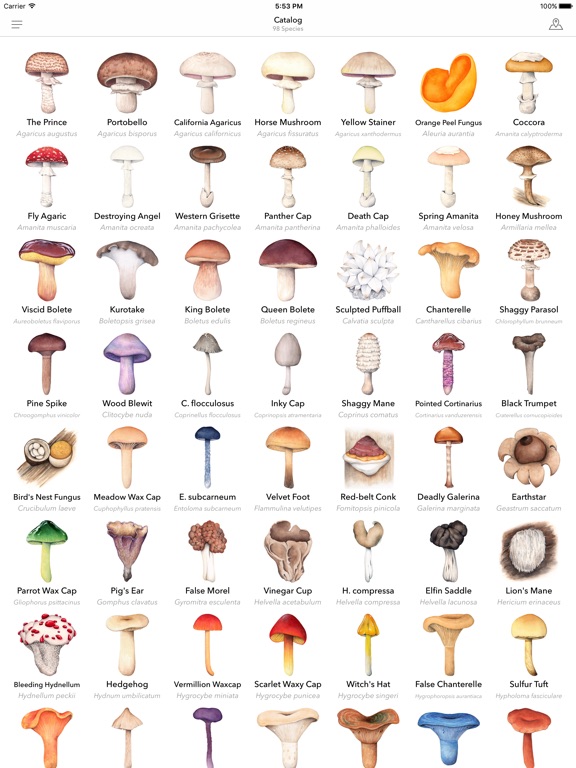 Is There A Mushroom Identifier App / Types of Edible Wild Mushrooms