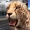 Wild Cheetah Sim 3D survive in the wilderness