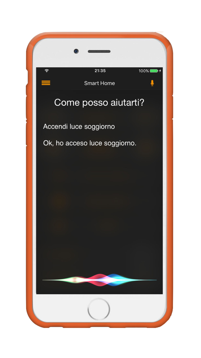 Smart Home Lite - Domotica