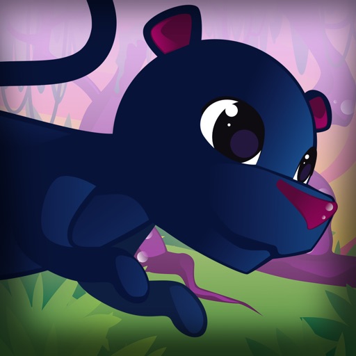 Wildlife Jungle Path iOS App