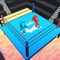 This is a funny sumo ragdoll fighting game called sumotori drunken wrestlers