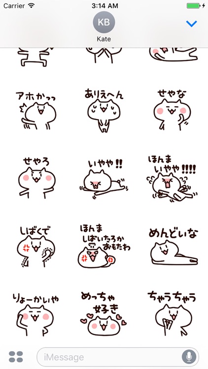 Osaka cat