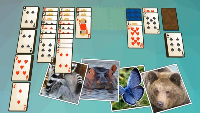 Solitaire Wild(圖5)-速報App