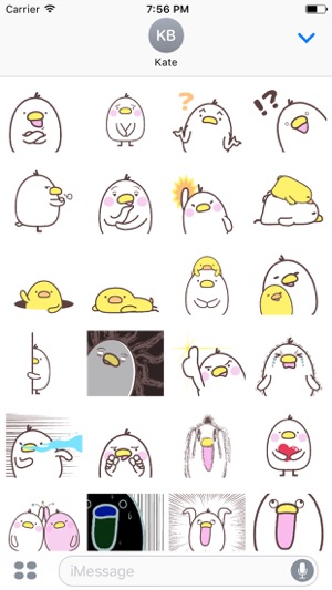 FunnyBirds(・８・)(圖1)-速報App