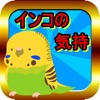 インコの気持ち - iPhoneアプリ