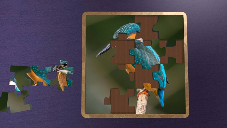 Super Jigsaws Birds screenshot-4