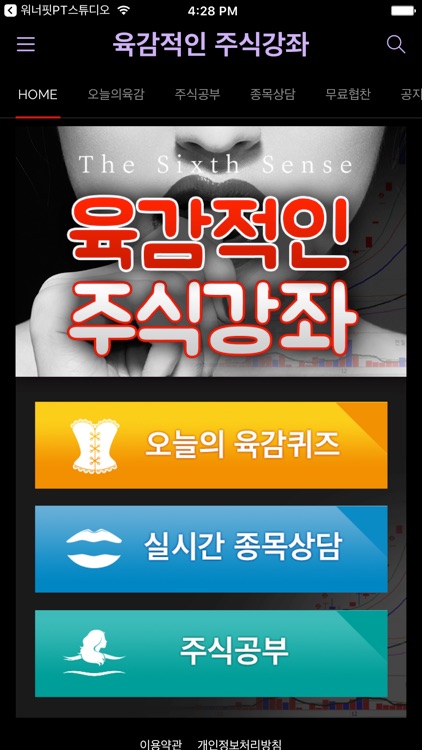 육감적인 주식강좌