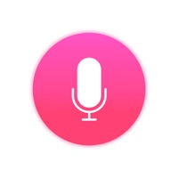 Voice Journal For Adults With Passcode apk