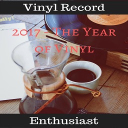 Vinyl Record Enthusiast