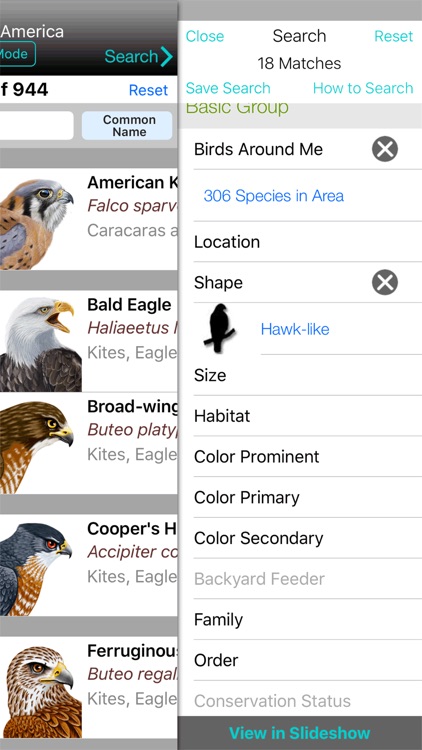 iBird Plus Guide to Birds