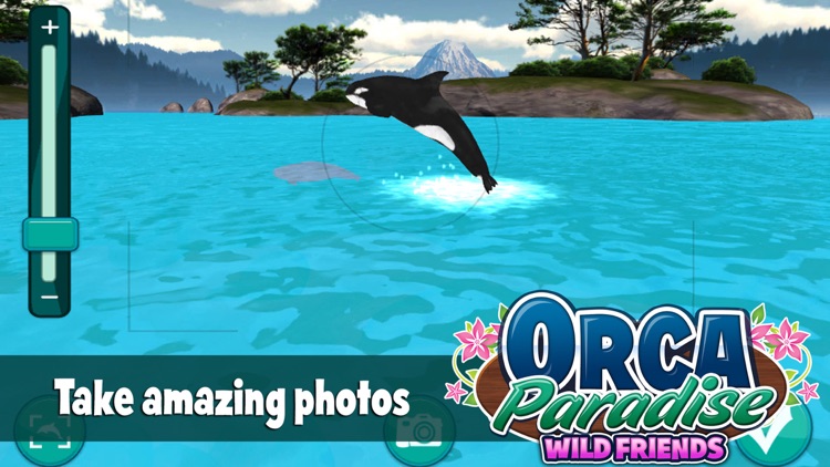 Orca Paradise - All Access