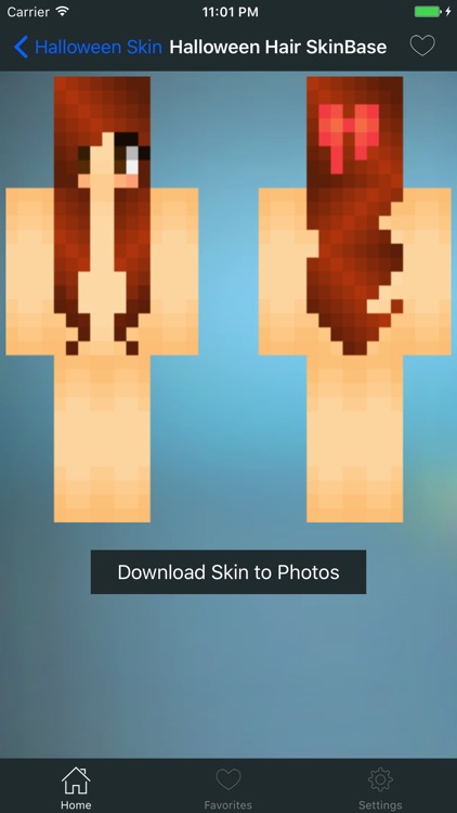 New Skins for Minecraft PE and PC screenshot-4