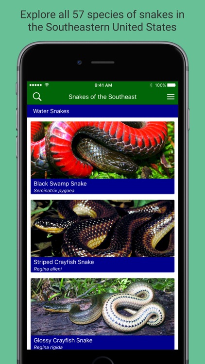Snakes of the Southeast
