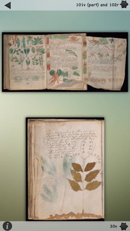 Voynich Manuscript! screenshot-4