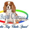 The Royal Champion