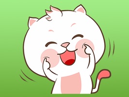 HALF THE PRICE for a LIMITED TIME