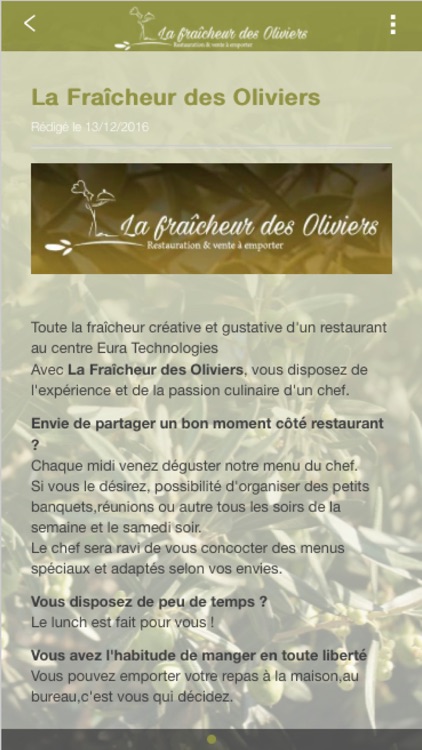 La Fraîcheur Des Oliviers - Lambersart