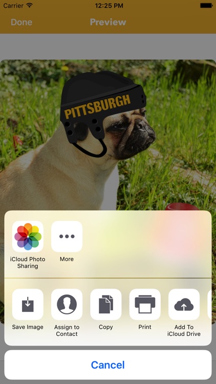 Pittsburgh Hockey Stickers & Emojis screenshot-4