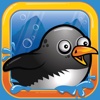 Splashy Penguin