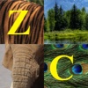 ZooConnector