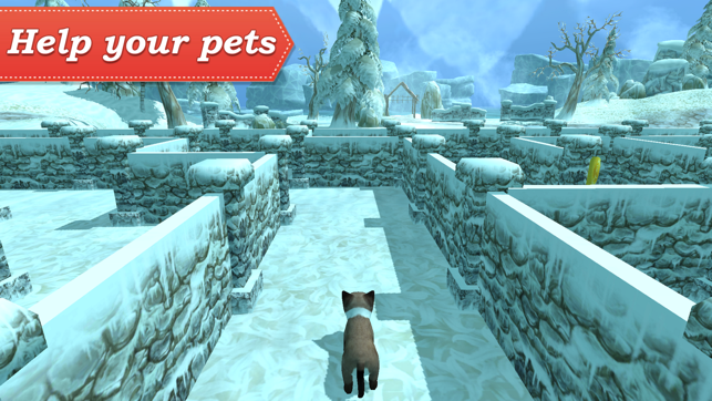 3D Pets in the Maze(圖4)-速報App