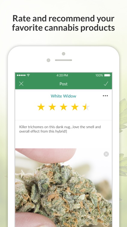 MassRoots Medical Cannabis