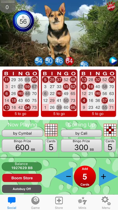 DOG BINGO - LIVE DOG BINGO & SLOTS! 1.9.14 IOS CASINO DOG BINGO - LIVE DOG BINGO & SLOTS! 1.9.14 IOS