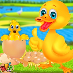 Duckling Pet Care & Hatching- Animal Spa Salon