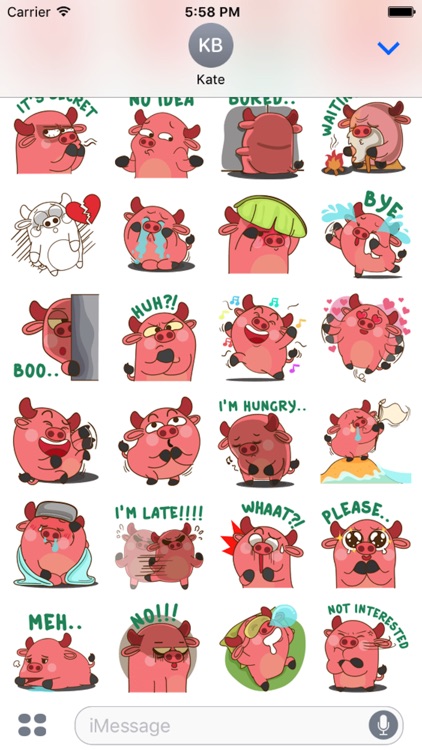 Funny Angry Pig screenshot-3