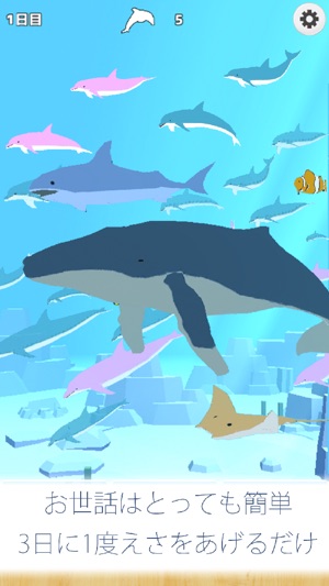 Healing dolphin fish simulation game(圖3)-速報App