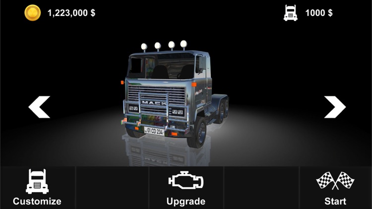 Truck Driver 3D - simulating driving