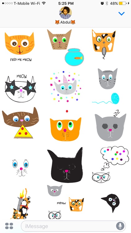 Kitty Kats