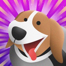 Activities of Astrodog