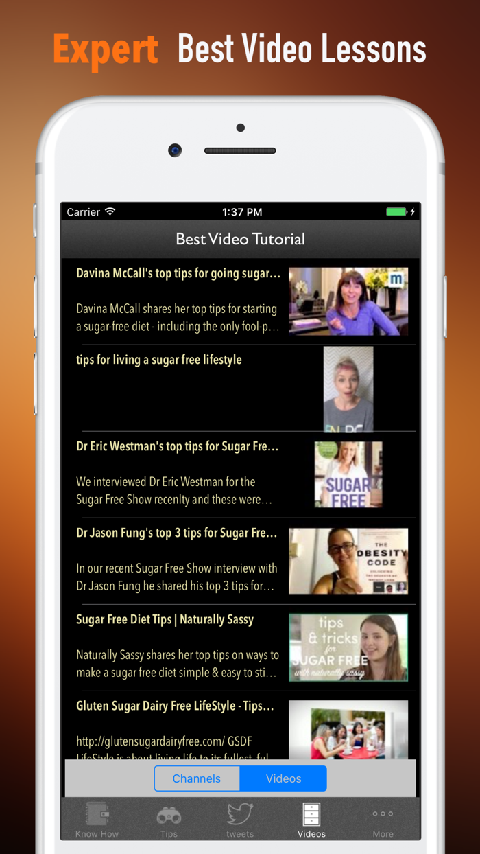 无糖生活方式知识百科-自学指南、视频教程和技巧