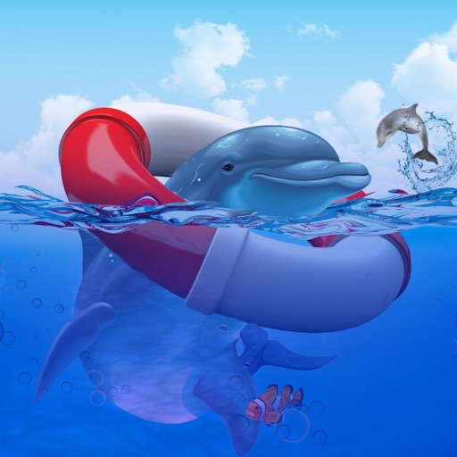 Dolphin Race Simulator Icon