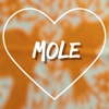 I Love Mole